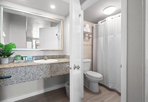 Combined shower/tub, free toiletries, hair dryer, towels