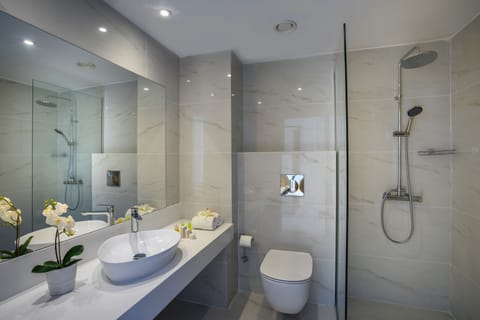 Combined shower/tub, free toiletries, hair dryer, towels