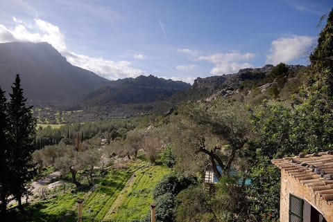 Property view