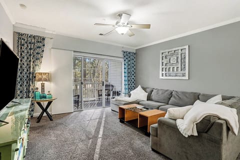 Living Room Area