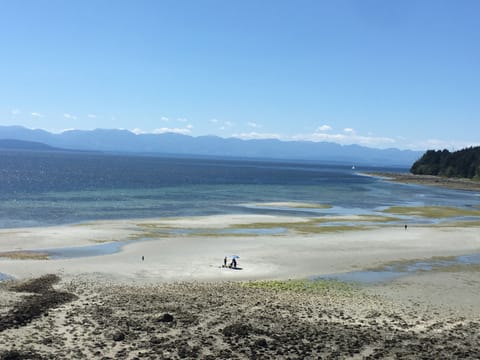 View from the deck at low tide