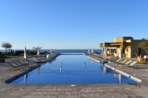 Outdoor pool, pool umbrellas, sun loungers