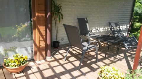 Patio and garden in spring