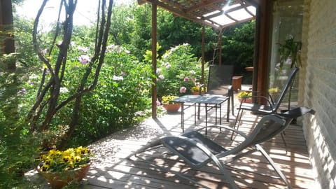 Patio and garden in spring