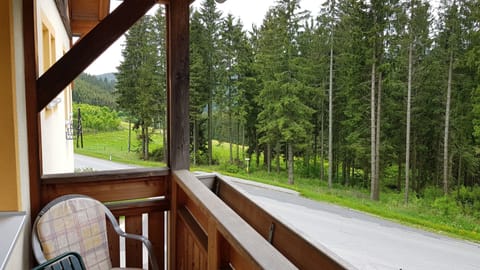 Double Room, Balcony | Balcony
