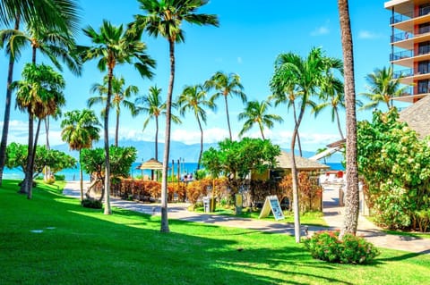 Wake up to the sound of the sea and a view that never grows old. Paradise is just outside your window.