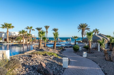 Outdoor pool, pool umbrellas, sun loungers