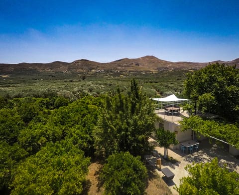 Traditional House, Mountain View | Mountain view