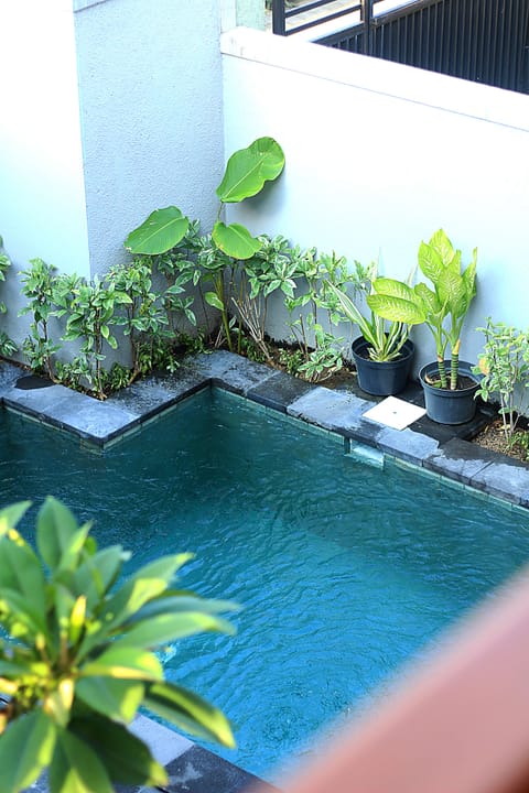 Outdoor pool, open 8:00 AM to 7:00 PM, sun loungers