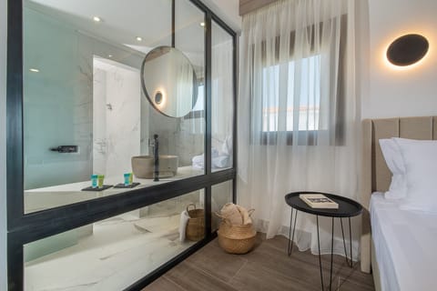 Junior Studio Suite | Bathroom | Shower, hydromassage showerhead, designer toiletries, hair dryer
