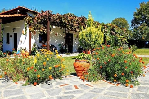 Daily continental breakfast (EUR 6.00 per person)