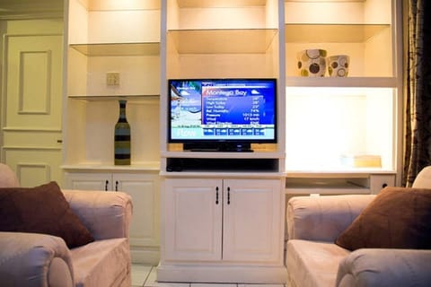 Exclusive Apartment, 1 Queen Bed | Living area | 50-inch flat-screen TV with cable channels, TV, DVD player
