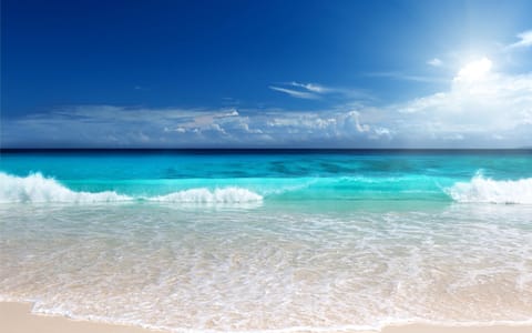 Caribbean shore line at Villa