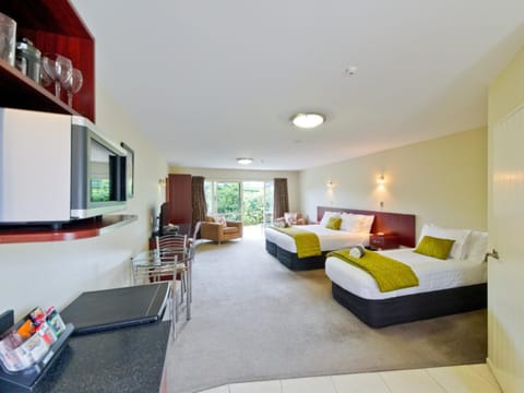 Executive Studio | Private kitchenette | Fridge, microwave, stovetop, electric kettle