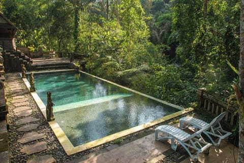 Outdoor pool, sun loungers