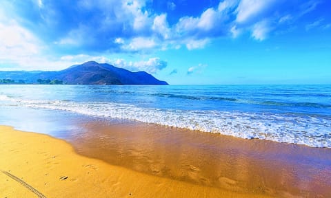 Beach/ocean view