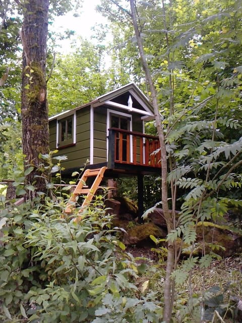 Spannend speelhuisje voor kleine kinderen 