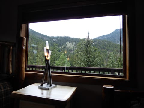 Beautiful view out the 2nd bedroom window