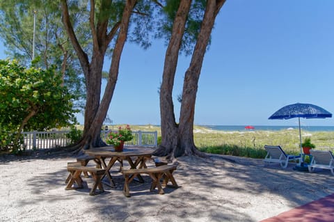 Beautiful Sandy Shores