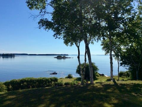 Little island, mussel ridge channel, all the boats go by the house 