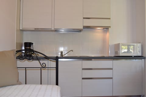 Standard Apartment, 1 Double Bed with Sofa bed, Garden View, Ground Floor | Private kitchen | Fridge, microwave, stovetop, espresso maker