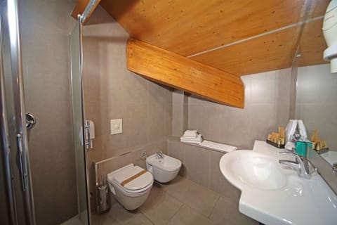 Superior Double Room, Partial Lake View | Bathroom | Shower, free toiletries, hair dryer, bidet