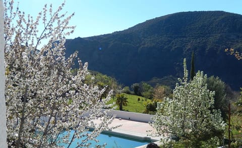 Seasonal outdoor pool, pool umbrellas, sun loungers