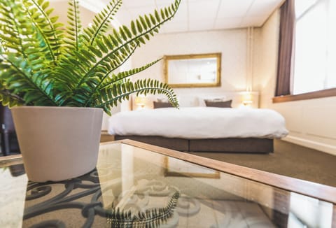 Superior Double Room | Down comforters, in-room safe, desk, iron/ironing board