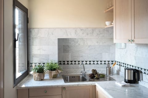 Panoramic Penthouse (Pitti) | Private kitchen | Fridge, stovetop, coffee/tea maker, electric kettle