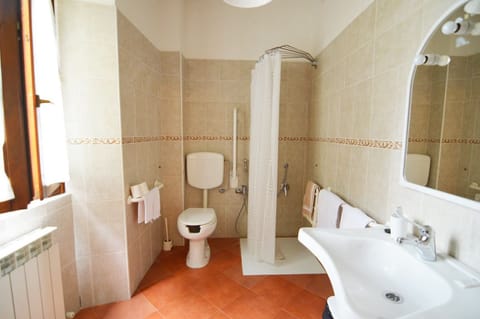 Double Room Single Use | Bathroom | Shower, free toiletries, hair dryer, bidet