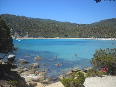 Beach nearby, beach shuttle, beach cabanas, sun loungers