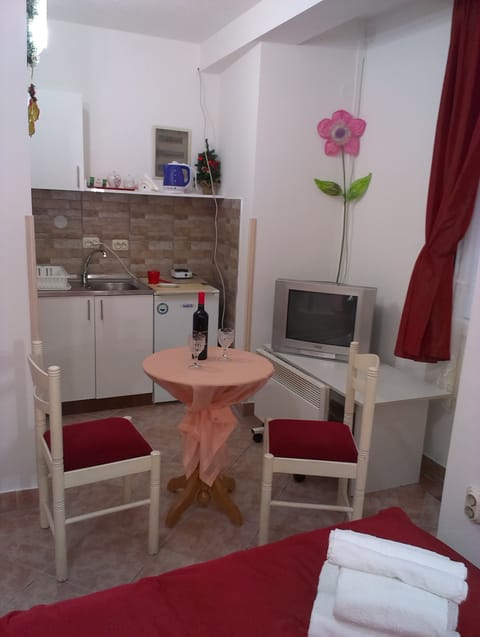 Apartment for 3 people | Private kitchen | Fridge, coffee/tea maker, electric kettle