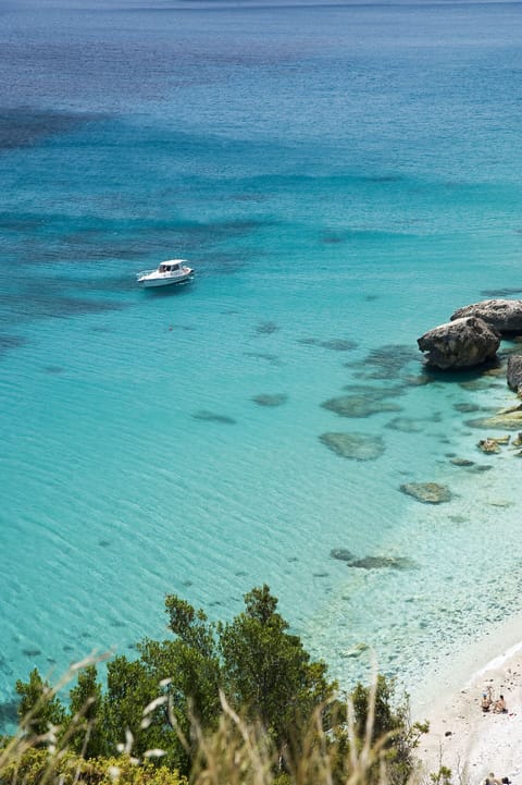 On the beach, sun loungers, beach umbrellas, beach towels