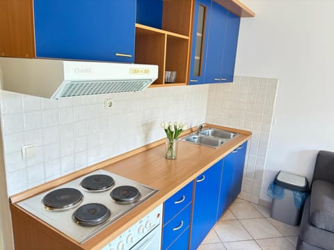 Family Apartment | Private kitchen