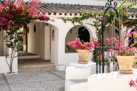 Deluxe Duplex | 1 bedroom, Egyptian cotton sheets, premium bedding, down comforters