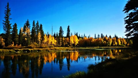 Aspen Mirror Lake 5 min walk from lodge.