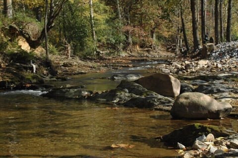 Pigeon Forge Cabin Creekside