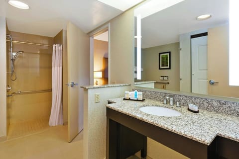 Suite, 1 Bedroom | Bathroom | Rainfall showerhead, free toiletries, hair dryer, towels