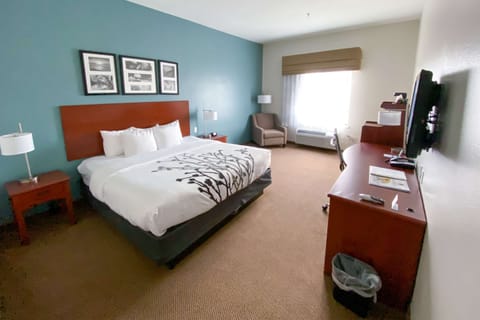 Room, 1 King Bed, Non Smoking | Premium bedding, in-room safe, individually decorated