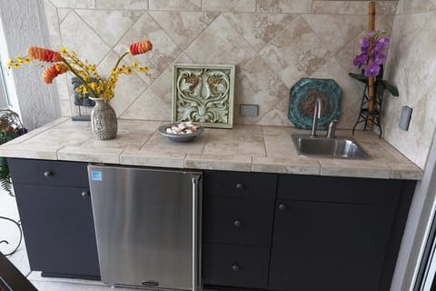 Counter in lanai with sink and refrigerator 