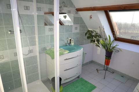 Shower, free toiletries, hair dryer, towels