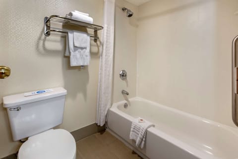 Combined shower/tub, free toiletries, hair dryer, towels