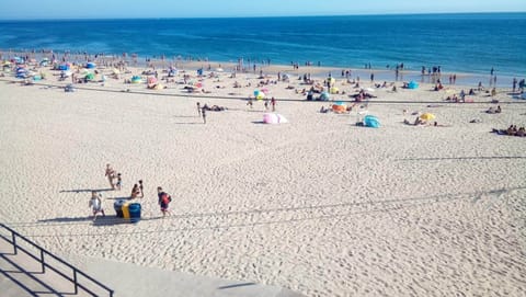 Beach shuttle