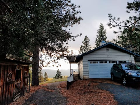 Welcome to Bear Family Ranch