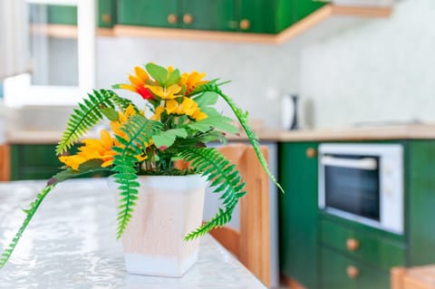 Fridge, stovetop, coffee/tea maker, electric kettle