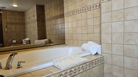 Combined shower/tub, free toiletries, hair dryer, towels