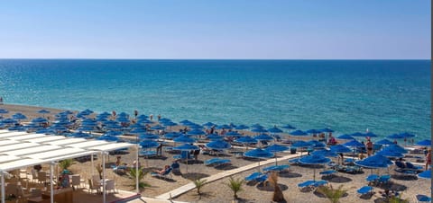 On the beach, black sand, sun loungers, beach umbrellas