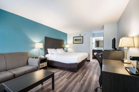 Standard Room, 1 King Bed with Sofa bed, Non Smoking | Premium bedding, down comforters, pillowtop beds, desk