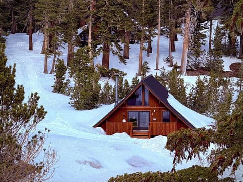 Chalet 1 winter exterior 2