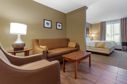 Suite , 1 King Bed Non Smoking, 1 Person Sofa Bed, No pets Allowed | Desk, laptop workspace, blackout drapes, iron/ironing board